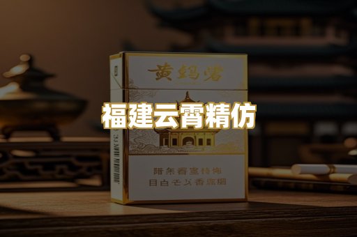 福建云霄精仿